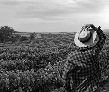 qual a importancia da equipe juridica para quem trabalha com o agronegocio